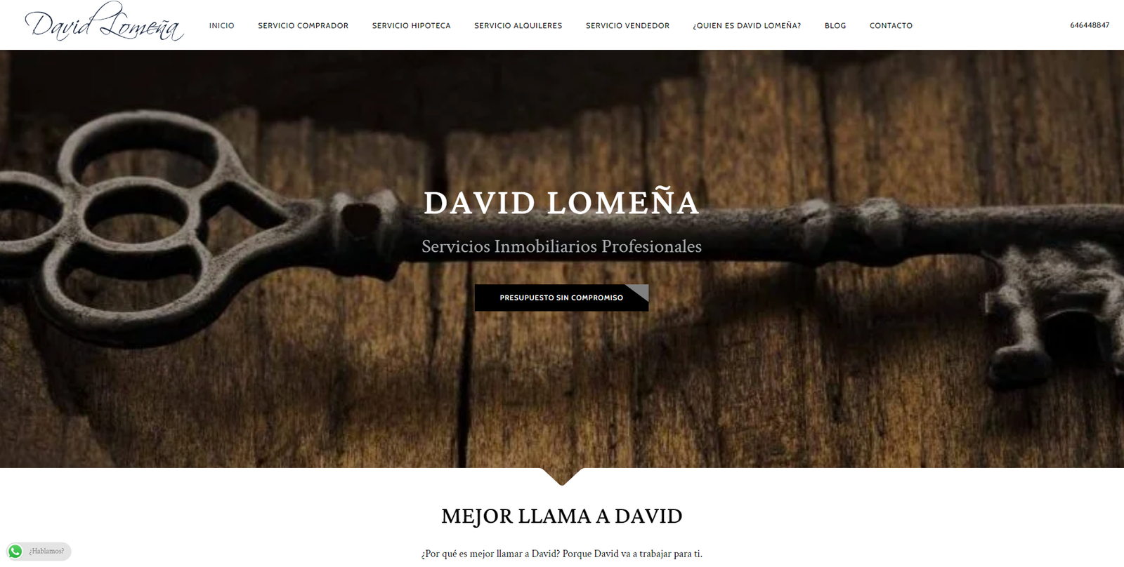 mejorllamaadavid.com